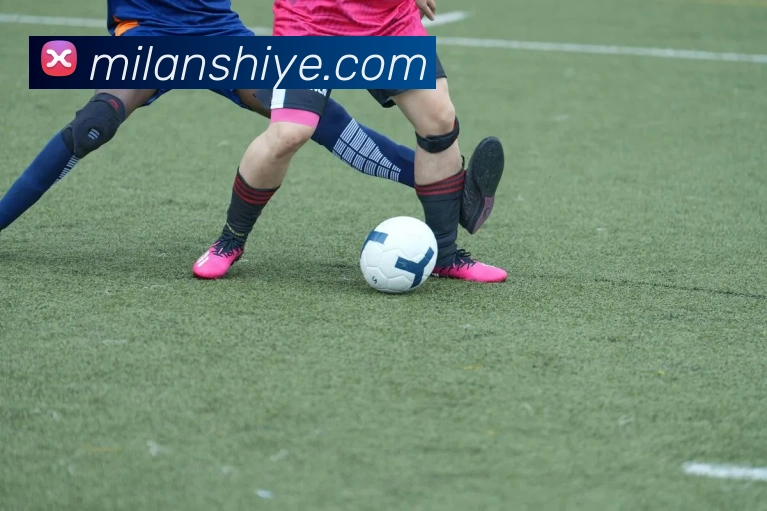 米兰体育全站App